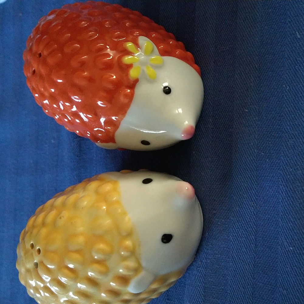 Pier 1 Hedge Hog Salt & Pepper Shakers in perfect condition